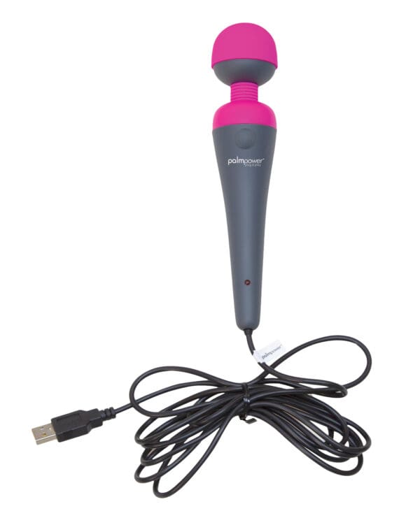 Palm Power Plug & Play - Image 2