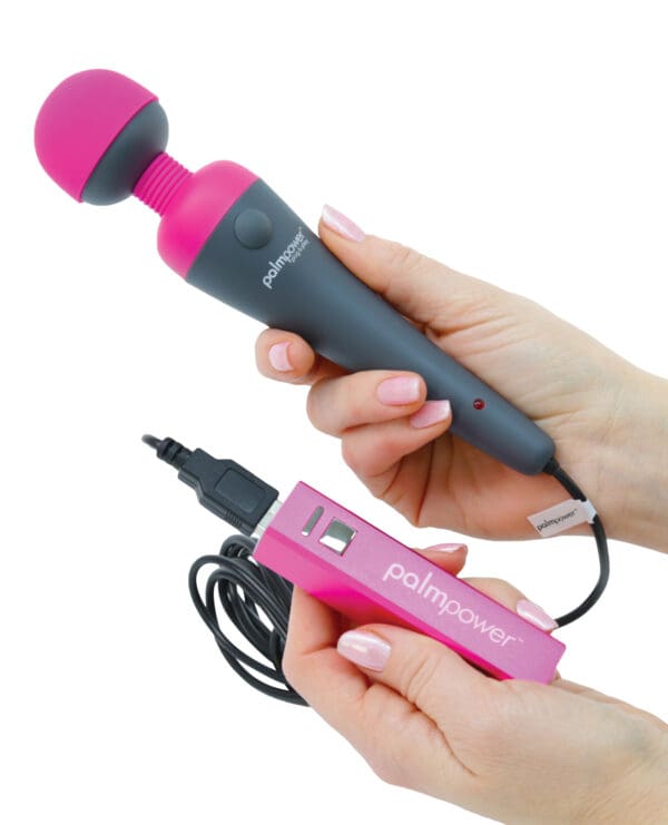 Palm Power Plug & Play - Image 4