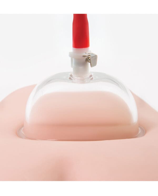 Blush Temptasia Intense Pussy Pump System - Image 4