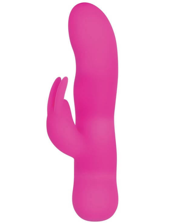 Evolved Sugar Bunny - Pink - Image 3