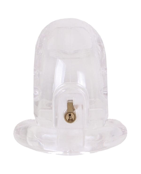 MALESATION Chastity Cage - Clear - Image 4