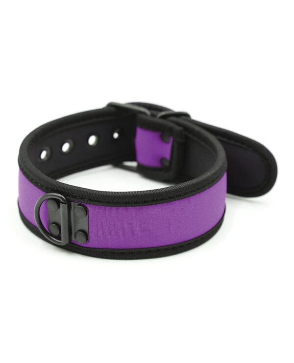 Plesur Neoprene Puppy Collar - Purple - Image 2