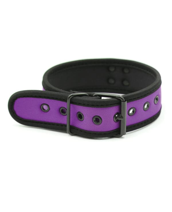 Plesur Neoprene Puppy Collar - Purple - Image 3