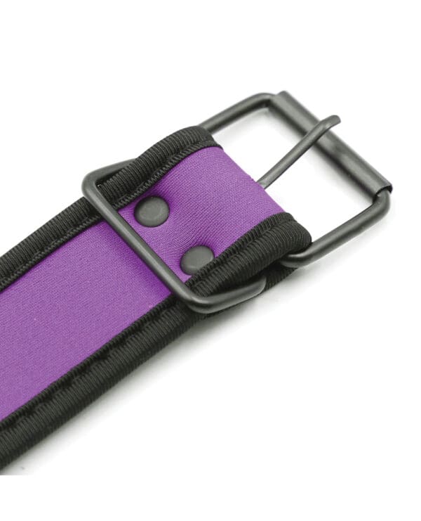 Plesur Neoprene Puppy Collar - Purple - Image 5