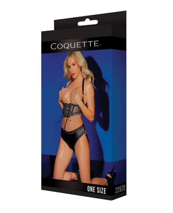 Black Label Lace Panels Harness & Panty Black O/S - Image 3