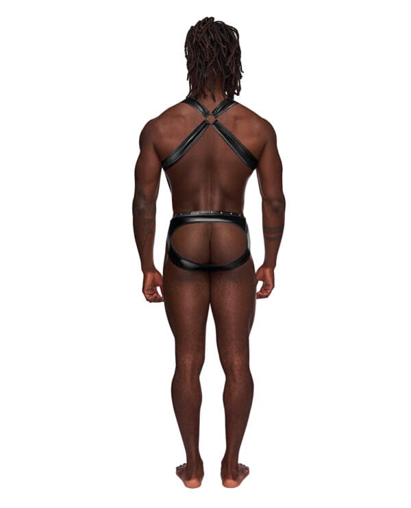 Fetish Uranus Nylon Spandex Moonshine Harness Brief Black L/XL - Image 3