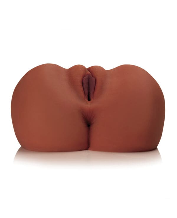 PDX Plus EZ Bang Torso - Brown - Image 4