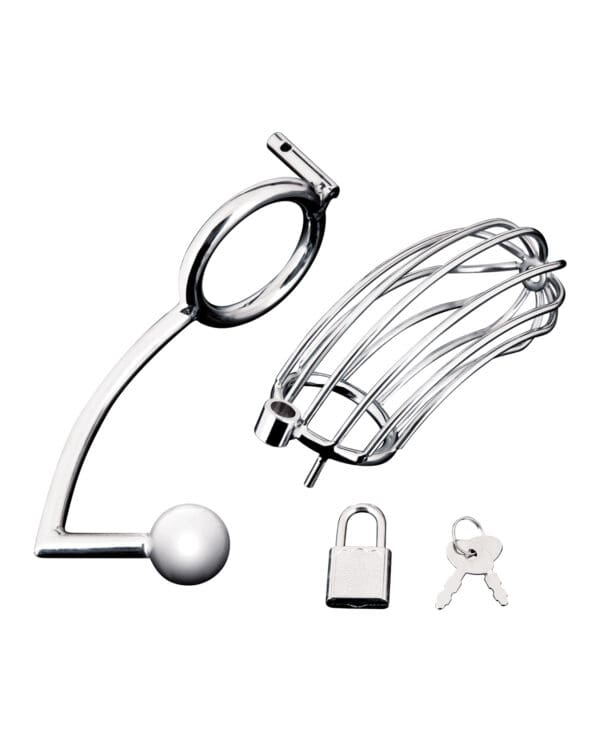 Blue Line Cock Cage w/Anal Stimulator - Silver - Image 4