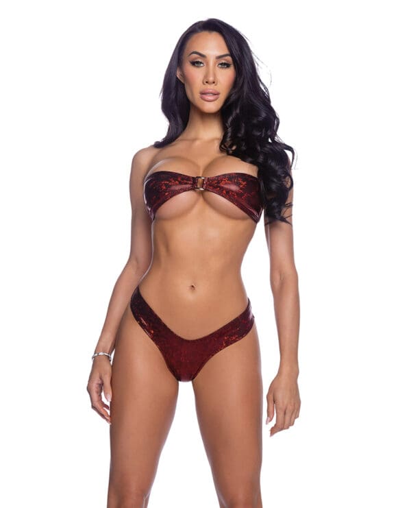 Shimmer Tie Back Tube Top w/Cheeky Panty 2 pc Set - Red O/S