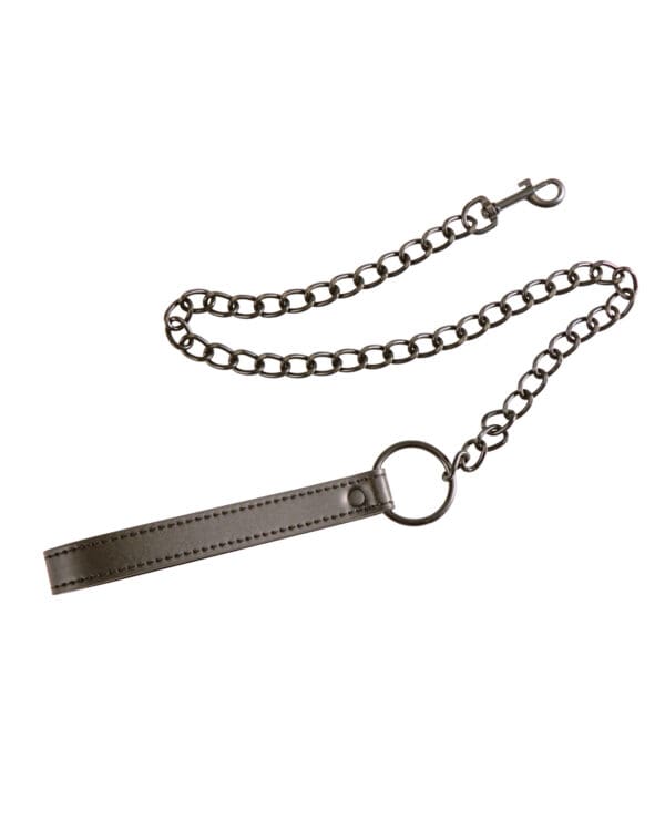 Plesur PVC Leash - Black - Image 2