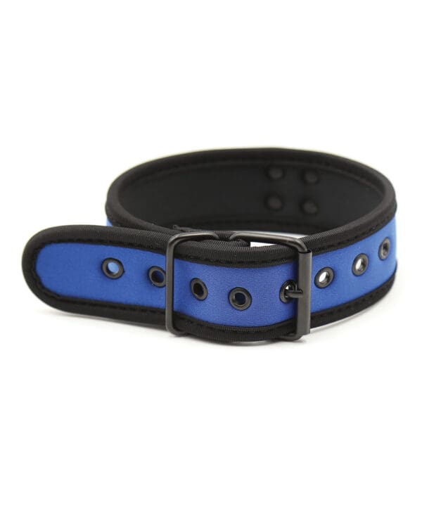 Plesur Neoprene Puppy Collar - Blue - Image 2