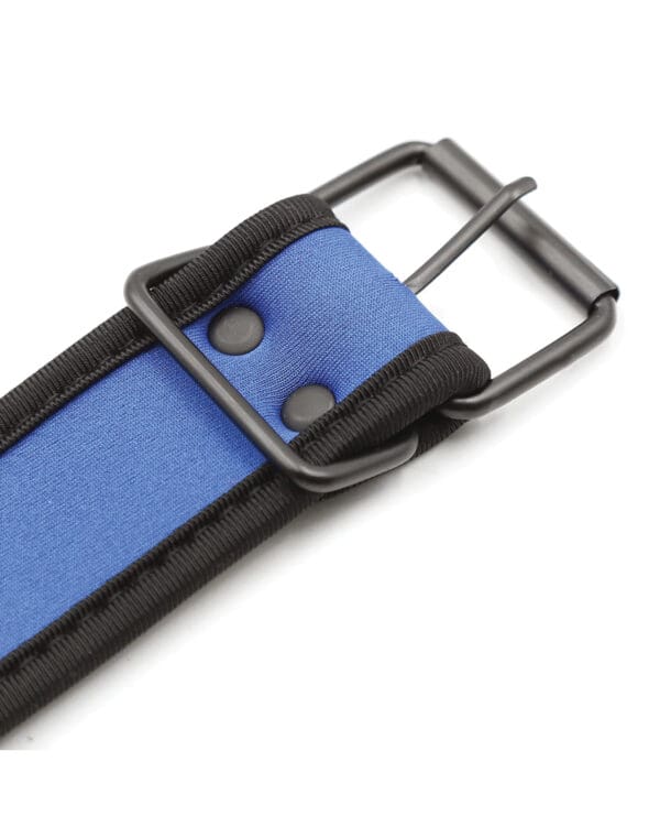 Plesur Neoprene Puppy Collar - Blue - Image 4