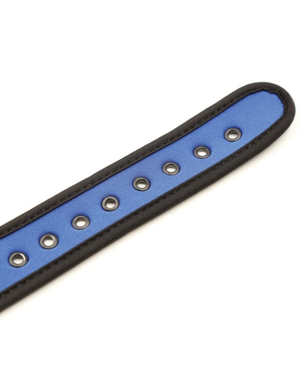 Plesur Neoprene Puppy Collar - Blue - Image 5