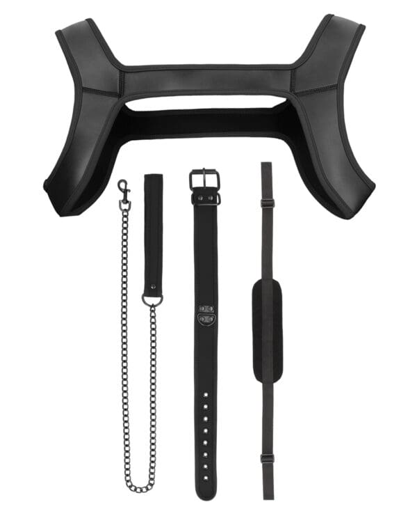 Shots Ouch Puppy Play Complete Kit - LXL Black - Image 4