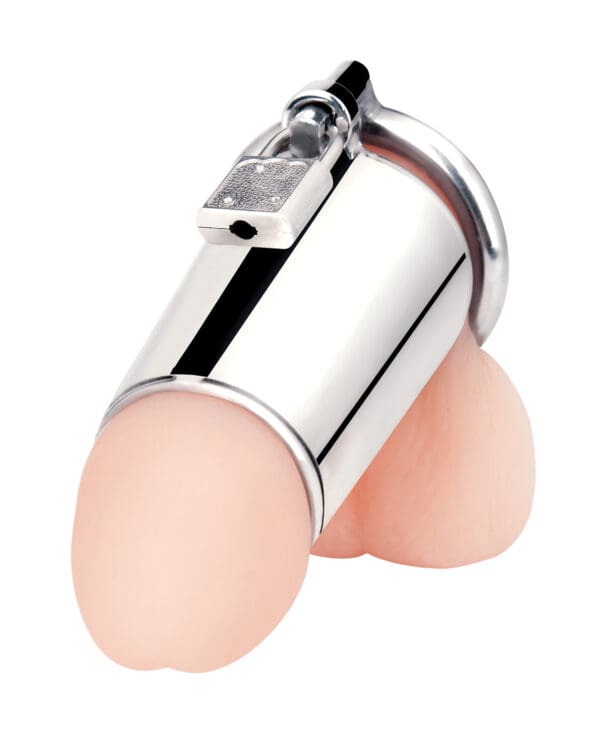 Blue Line Ultimate Cock Tease Cage - Silver - Image 2