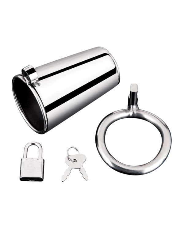 Blue Line Ultimate Cock Tease Cage - Silver - Image 4