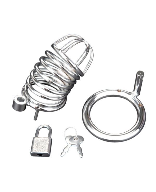 Blue Line Deluxe Chastity Cage - Silver - Image 4