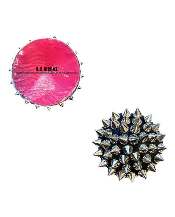 Neva Nude Burlesque Bowser Spike Pleather Reusable Silicone Pasties - Silver/Black O/S - Image 2