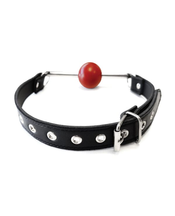 Rouge Leather Ball Gag with Stainless Steel Rod and Removable Ball - Black with Red - Image 2