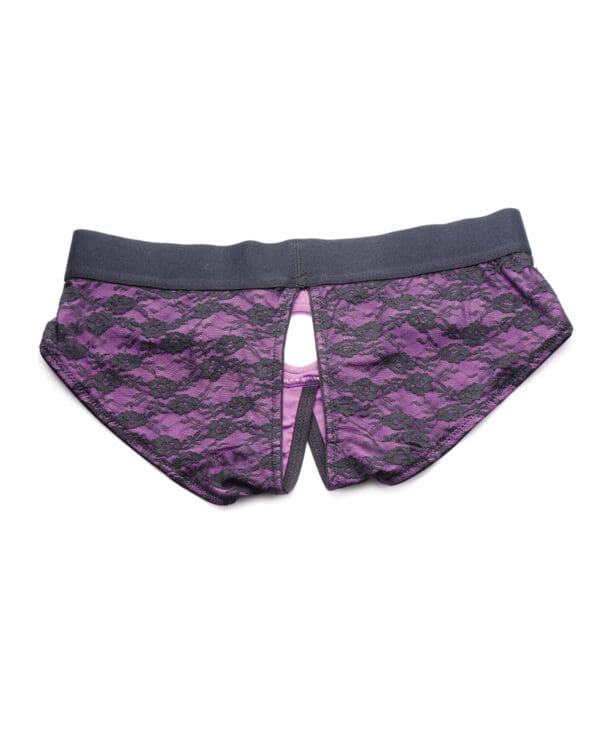 Strap U Lace Envy Crotchless Panty Harness - 3XL Purple - Image 3