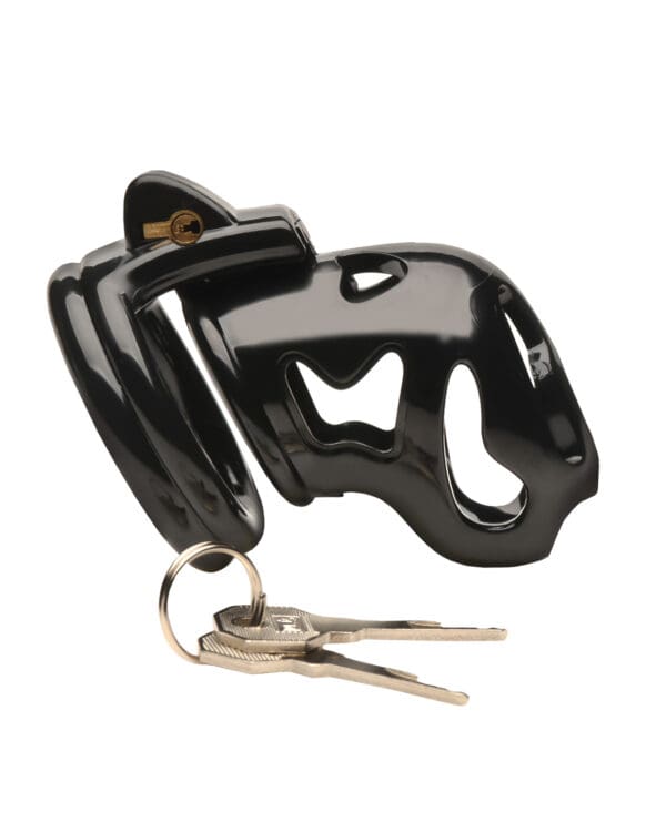 Master Series Hard Stop Double Ring Chastity Cage - Black - Image 2