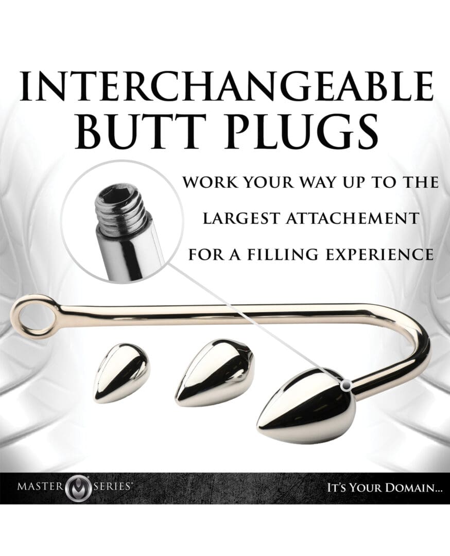 Master Series Anal Hook Trainer w/3 Plugs - Silver - Image 5