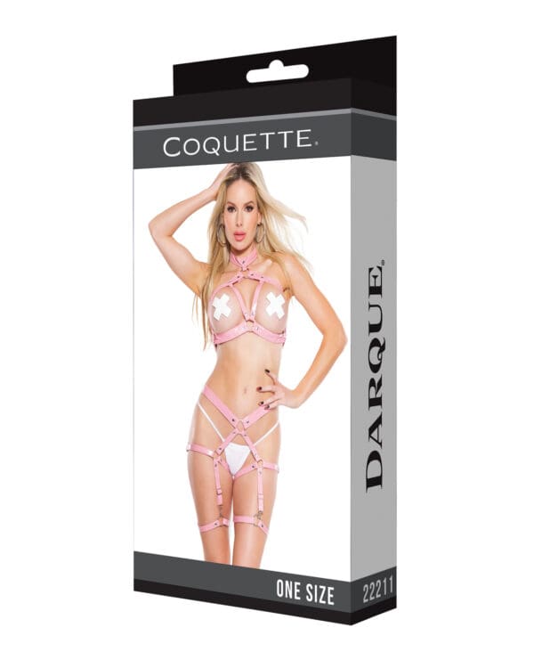 Darque PVC Harness Open Cup Halter Top & Garter Leg Bands Pink OS - Image 5