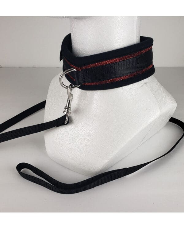 Spartacus Collar & Leash - Neoprene Red - Image 3