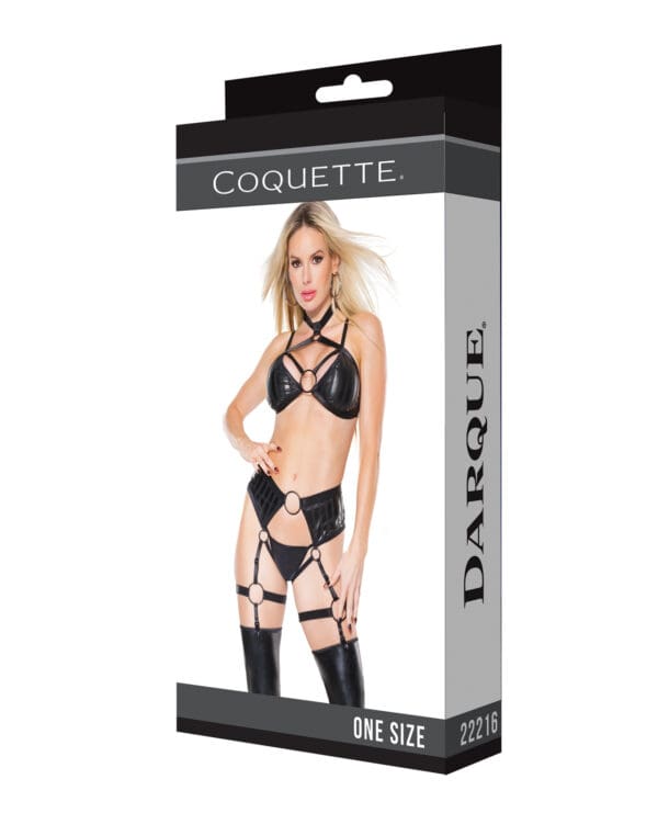 Darque Wet Look Striped Strappy Halter Top & Crotchless Garter Panty Black OS - Image 4
