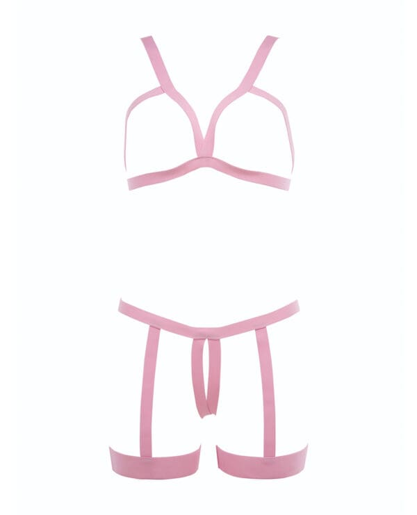 Kitten Teaser Strappy Open Cup Bra & Open Panty w/Leg Straps Pink O/S - Image 4