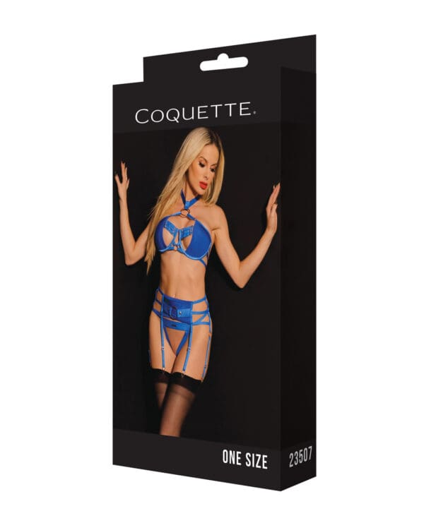 Black Label Underwire Bra w/Choker, Garterbelt & G-String Blue O/S - Image 5