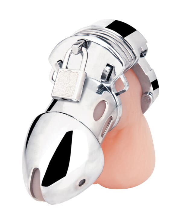 Blue Line Obedience Cage - Silver - Image 2