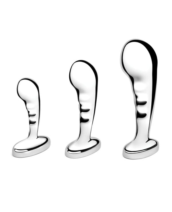 Stainless Steel P-Spot Training Set - Image 3