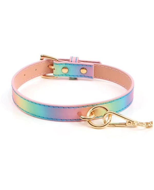 Hello Sexy! Hot Bitch Collar & Leash - Iridescent Rainbow - Image 3