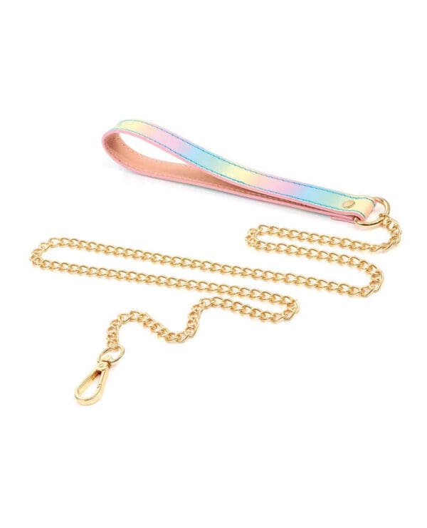 Hello Sexy! Hot Bitch Collar & Leash - Iridescent Rainbow - Image 4