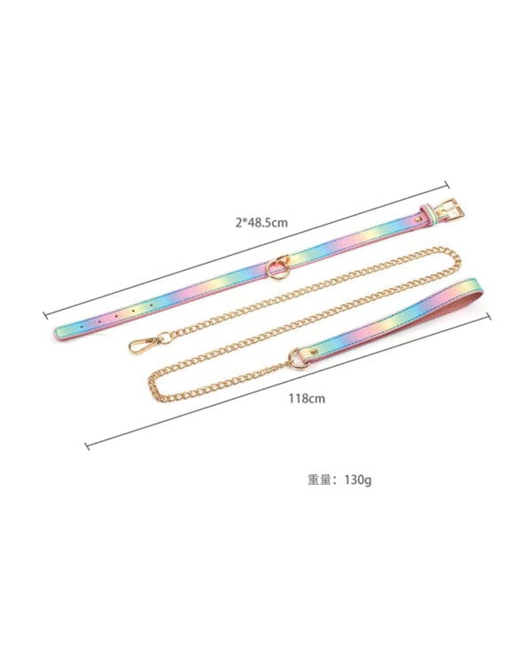 Hello Sexy! Hot Bitch Collar & Leash - Iridescent Rainbow - Image 5