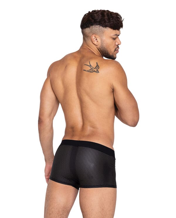 Master Trunks w/Contoured Pouch Black LG - Image 2