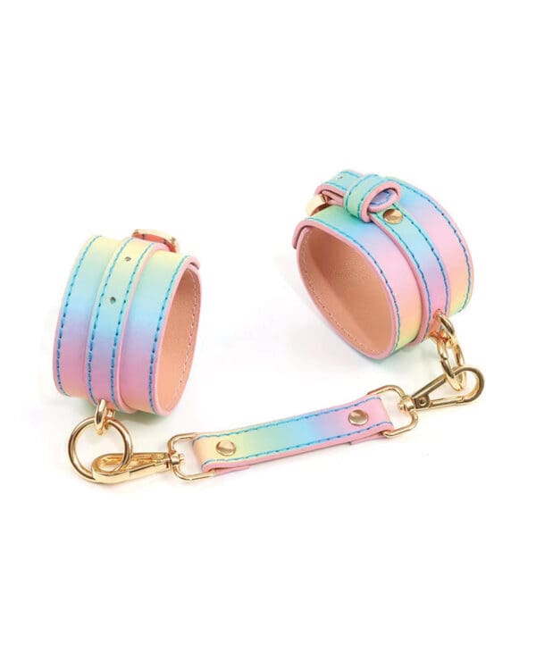 Hello Sexy! Hot Bitch Cuffs & Collar - Iridescent Rainbow - Image 3