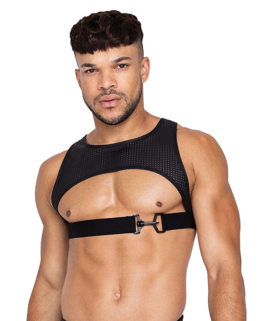 Master Harness w/Hook & Ring Closure Black XL