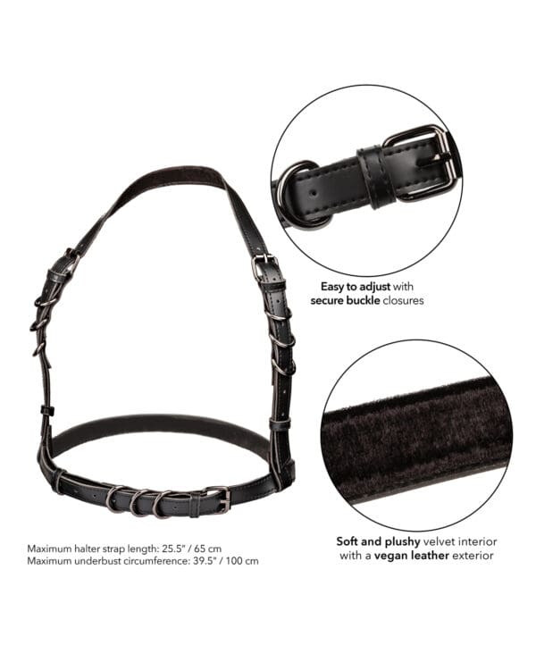 Euphoria Collection Plus Size Halter Buckle Harness - Image 3