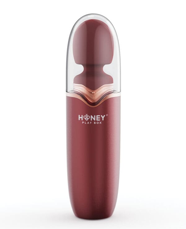 STORMI Powerful Wand Massager w/Charging Case
