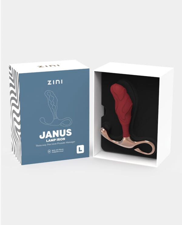 Zini Janus Lamp Iron - Large Maroon - Image 3