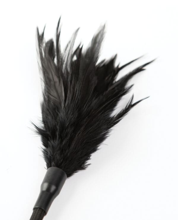 Sei Mio Tickled Kink Soft Mini Feather Tickler - Black - Image 4