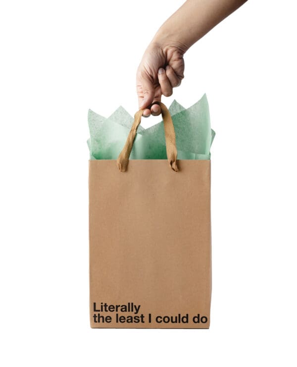Literally The Least I Could Do Gift Bag - Pack of 3 - Image 2