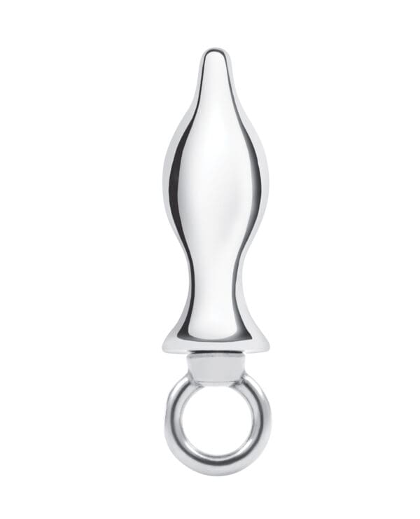Blue Line 2.5" Stainless Steel Metal Tapered Butt Plug With Loop Hardware - Image 2