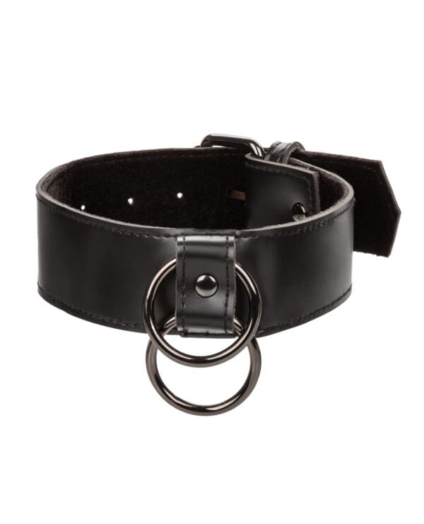 Euphoria Collection Collar w/Chain Leash - Image 3
