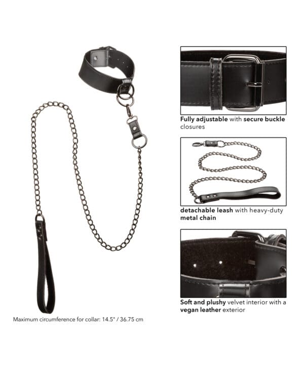 Euphoria Collection Collar w/Chain Leash - Image 4
