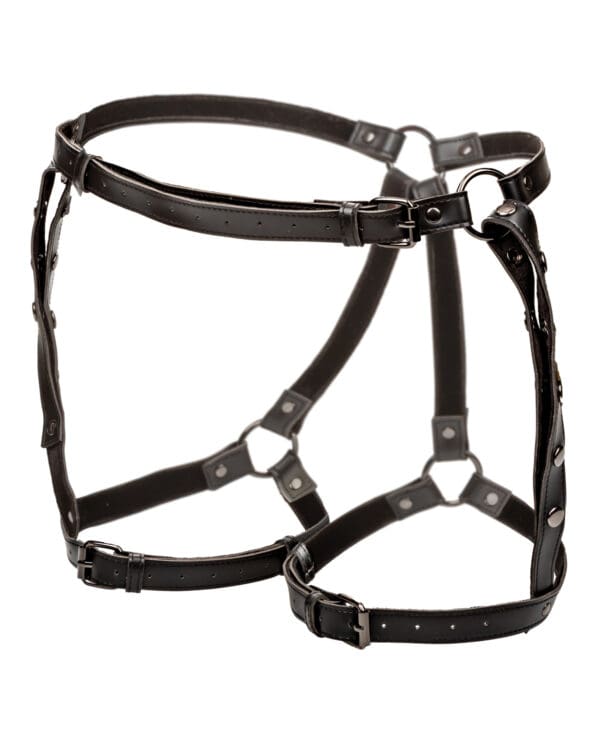 Euphoria Collection Plus Size Riding Thigh Harness - Image 2