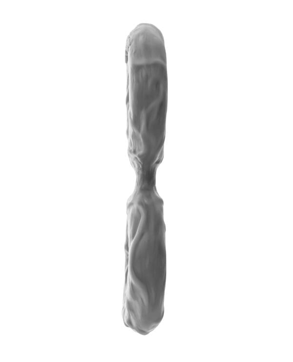 Shaft Double C-Ring  - Medium Gray - Image 4