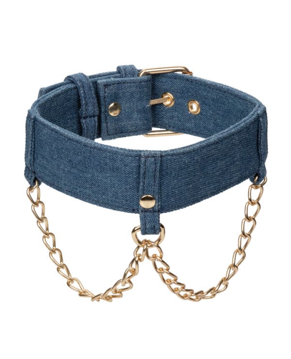Ride 'Em Premium Denim Collection Collar w/Leash - Image 3